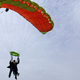 Illustration for article titled Woman Who Gives No Fucks Goes Skydiving for Her 100th Birthday